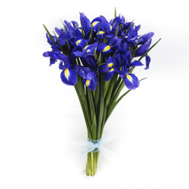 Ramillete de Iris