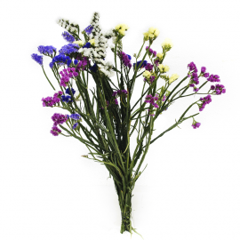 Ramillete de siempreviva