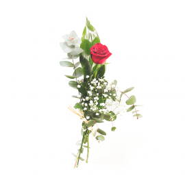 Rosa roja con eucalipto y paniculata