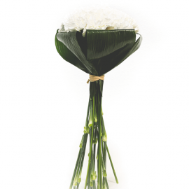 Ramo de claveles blancos