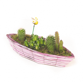 Arreglo de cactus naturales