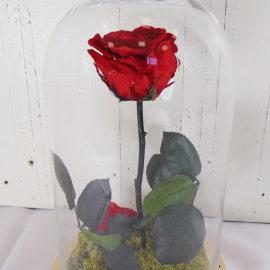 Rosa encantada - La Bella y la Bestia